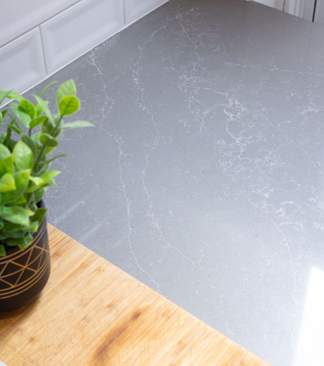 quartz countertop with plant