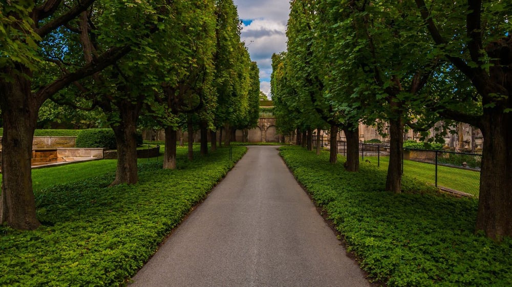 Path through trees at Longwood Gardens, Pennsylvania.